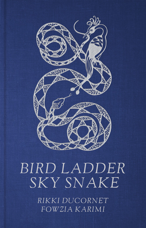Bird Ladder Sky Snake by Rikki Ducornet, Fowzia Karimi, 9781628976915