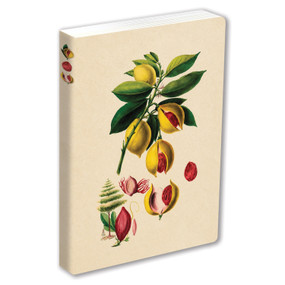 Journal Nutmeg, Lined Paperback by Tuttle Studio, 9780804860949