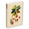Journal Nutmeg, Lined Paperback by Tuttle Studio, 9780804860949