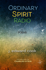 Ordinary Spirit Radio by James Edward Cook, Charles Stein, James Edward Cook, 9781581772524