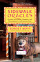 Sidewalk Oracles (Playing with Signs, Symbols, and Synchronicity in Everyday Life) by Robert Moss, 9781608683369