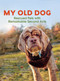 My Old Dog (Rescued Pets with Remarkable Second Acts) by Laura T. Coffey, Lori Fusaro, Neko Case, 9781608683406