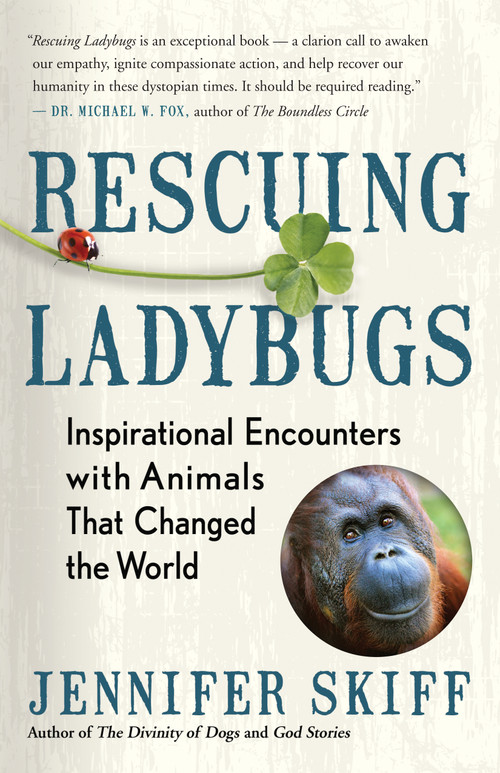 Rescuing Ladybugs (Inspirational Encounters with Animals That Changed the World) by Jennifer Skiff, 9781608685028