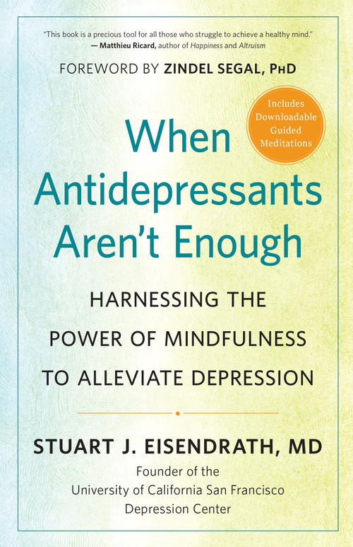 When Antidepressants Aren't Enough (Harnessing the Power of Mindfulness to Alleviate Depression) by Stuart J. Eisendrath, Zindel Segal, 9781608685974