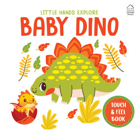 Touch and Feel : Little Hands Explore Baby Dino by Wonder House Books, 9789370896406
