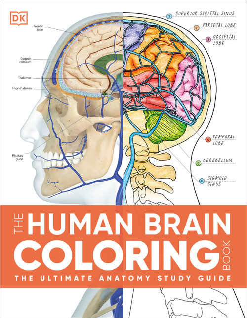 The Human Brain Coloring Book (The Ultimate Anatomy Study Guide) by DK, 9798217494316