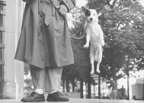 Paris, 1989 (Elliott Erwitt Snaps) by Elliott Erwitt, 9780714842387