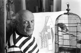 Pablo Picasso, Villa la Californie, Cann (René Burri Photographs) by René Burri, 9780714844176