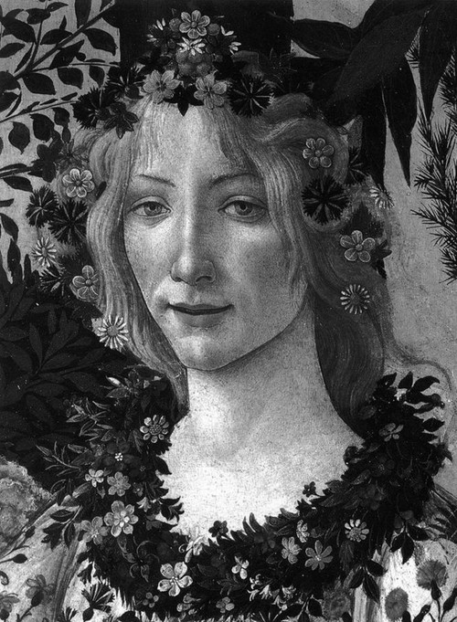 Botticelli (Classic 2015) by Lionello Venturi, Alessandro Cecchi, 9780714869674