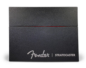 Fender Stratocaster 70 Years Deluxe Box Edition by Dave Hunter, 9780760396032