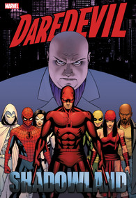 Daredevil: Shadowland Omnibus Cassaday Cover [New Printing] by Andy Diggle, Marvel Various, Billy Tan, Marvel Various, John Cassaday, 9781302957780