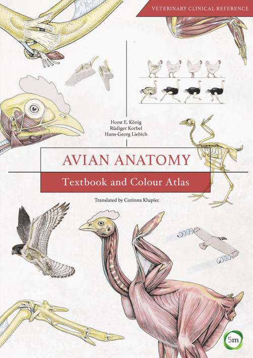 Avian Anatomy (Textbook and Colour Atlas (Second Edition)) by Horst E. Koenig, Ruediger Korbel, Hans-Georg Liebich, Corinna Klupiec, 9781910455609