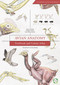 Avian Anatomy (Textbook and Colour Atlas (Second Edition)) by Horst E. Koenig, Ruediger Korbel, Hans-Georg Liebich, Corinna Klupiec, 9781910455609