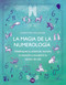 La magia de la numerología (Desbloquea tu potencial, escucha tu intuición y encuentra tu camino real) (Spanish Edition) by Carolyne Faulkner, 9786076370834