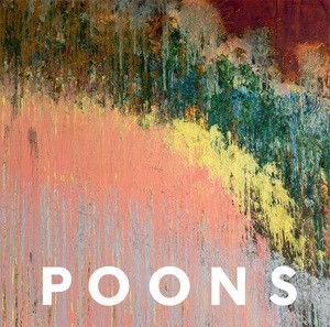 Larry Poons by Michael Fried, Barbara Rose, Karen Wilkin, David Ebony, David Anfam, 9780789213419