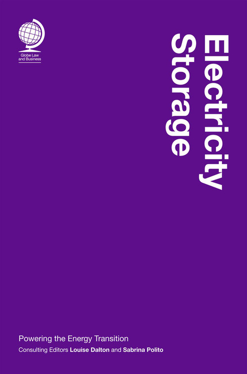 Electricity Storage (Powering the Energy Transition) by Louise Dalton, Sabrina Polito, 9781837231409