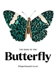 The Book of the Butterfly (Winged beauties in art) by Caroline Roberts, 9781399642583