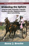 Widening the Sphere (Mid-to-Late Victorian Popular Fiction, Gender Representation,and Canonicity) by Anna J Brecke, 9781913087784
