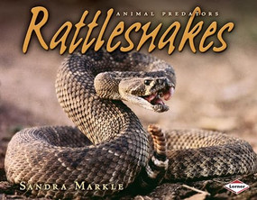 Rattlesnakes by Sandra Markle, 9781580135399