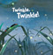 Twinkle Twinkle! (Insect Life Cycle) by Mi-ae Lee, Dong-soo Kim, 9781925233629