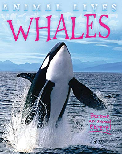 Whales by Sally Morgan, 9781939581860