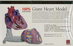Giant Heart Model by Scientific Publishing, 9781932922660
