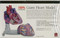 Giant Heart Model by Scientific Publishing, 9781932922660