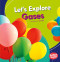 Let's Explore Gases by Anne J. Spaight, 9781541510814