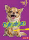 Chihuahuas by Sarah Frank, 9781541574656