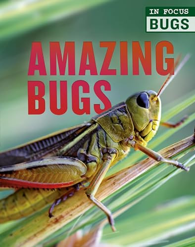 Amazing Bugs by Melanie Bridges, Camilla de la Bédoyère, 9780711248076