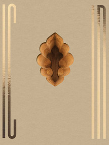 INDIA by Ljubodrag Andric, 9783960701330