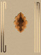INDIA by Ljubodrag Andric, 9783960701330
