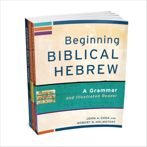 Learning Biblical Hebrew Set by John A. Cook, Robert D. Holmstedt, 9781540972187