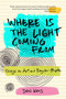 Where Is the Light Coming From (Essays on Art and Regular People) by Dan Kois, 9781478035145