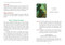 The DMT Entity Oracle (A 67-Card Deck and Guidebook) by Rachel Turetzky, David Jay Brown, Sara Phinn Huntley, 9798888504444