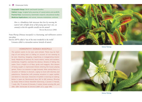 Carnivorous Plant Medicine (Indigenous Wisdom and Modern Pharmacology) by Robert Dale Rogers, 9798888505458