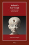 Nefertiti's Sun Temple (2 vols.) (A New Cult Complex at Tell el-Amarna) by Jacquelyn Williamson, 9789004325524