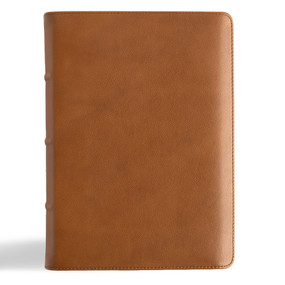 CSB He Reads Truth Bible, Holman Handcrafted Collection, Saddle Brown Premium Calfskin by CSB Bibles by Holman, He Reads Truth, 9798384533214