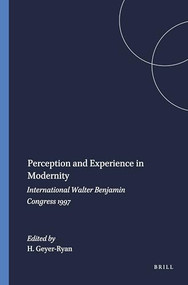 Perception and Experience in Modernity (International Walter Benjamin Congress 1997) by Helga Geyer-Ryan, 9789042012851