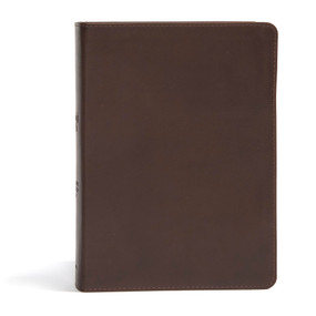 CSB She Reads Truth Bible, Brown Genuine Leather by Raechel Myers, Amanda Bible Williams, CSB Bibles by Holman, 9781433648236