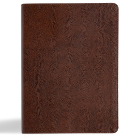 KJV Study Bible, Large Print Edition, Brown Bonded Leather by Holman Bible Publishers, 9798384509837