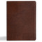KJV Study Bible, Large Print Edition, Brown Bonded Leather by Holman Bible Publishers, 9798384509837