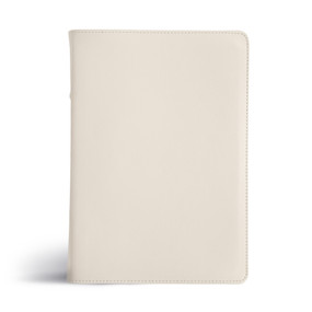 CSB She Reads Truth Bible, Holman Handcrafted Collection, Blonde Premium Calfskin by Raechel Myers, Amanda Bible Williams, CSB Bibles by Holman, 9798384518297