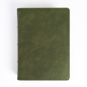 CSB She Reads Truth Bible, Holman Handcrafted Collection, Olive Premium Calfskin by Raechel Myers, Amanda Bible Williams, CSB Bibles by Holman, 9798384518693