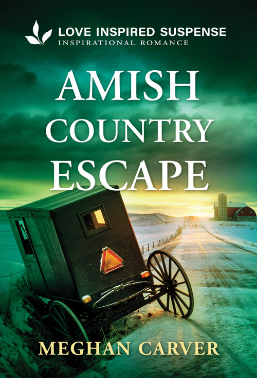 Amish Country Escape (An Amish Hidden Identity Romantic Suspense) by Meghan Carver, 9781335919663