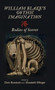 William Blake's Gothic imagination (Bodies of horror) by Chris Bundock, Elizabeth Effinger, 9781526121943