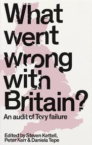 What went wrong with Britain? (An audit of Tory failure) by Steven Kettell, Peter Kerr, Daniela Tepe, 9781526170392