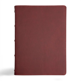CSB Verse-by-Verse Reference Bible, Holman Handcrafted Collection, Marbled Burgundy Premium Calfskin by CSB Bibles by Holman, 9781430094548