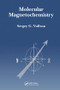 Molecular Magnetochemistry by Sergey Vulfson PhD, 9789056995355