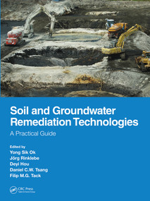 Soil and Groundwater Remediation Technologies (A Practical Guide) by Yong Sik Ok, Jörg Rinklebe, Deyi Hou, Daniel C.W. Tsang, Filip M.G. Tack, 9780367337407